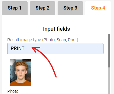 Print option
